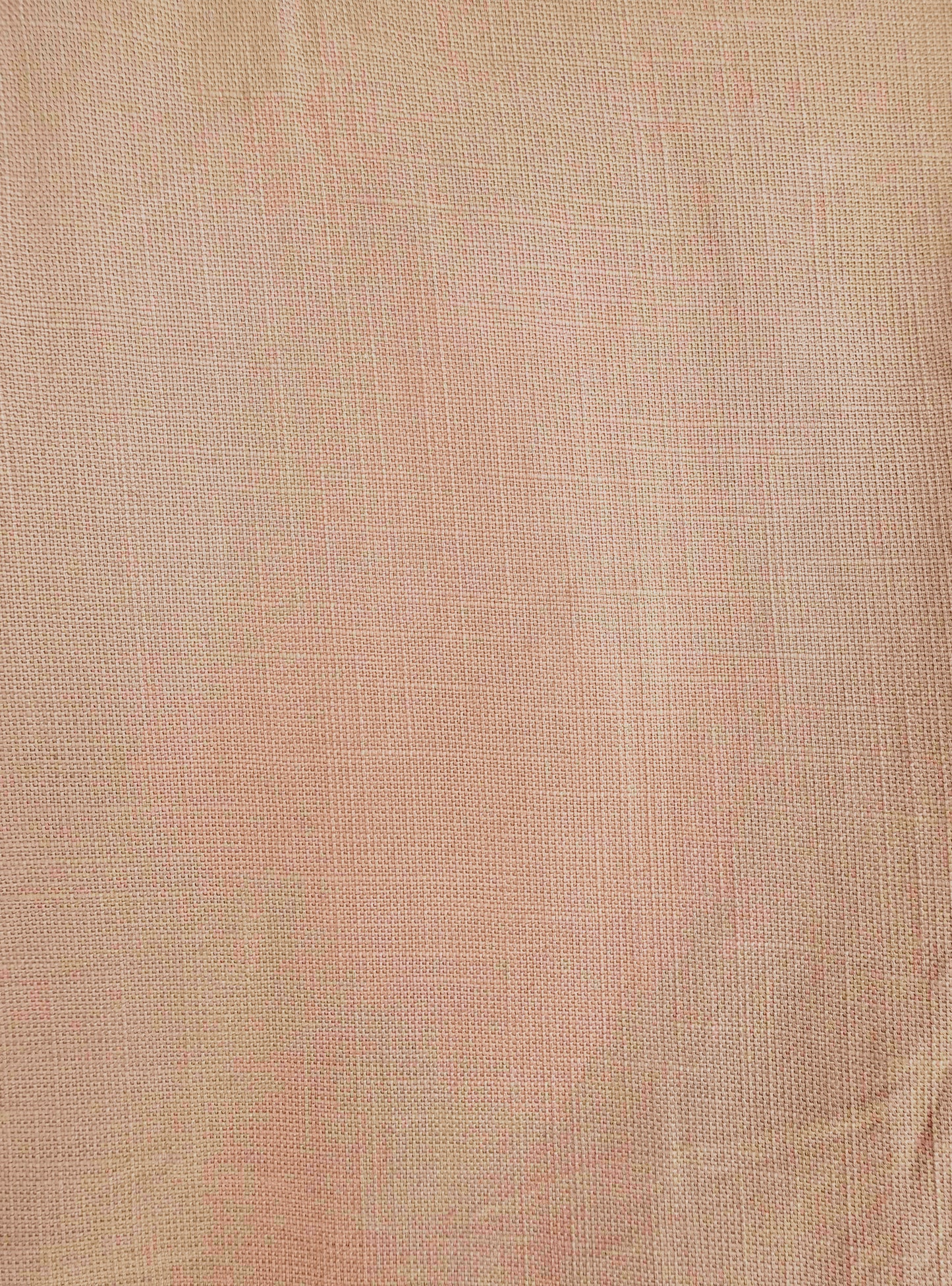 Men Beige Cotton Regular Fit Pant