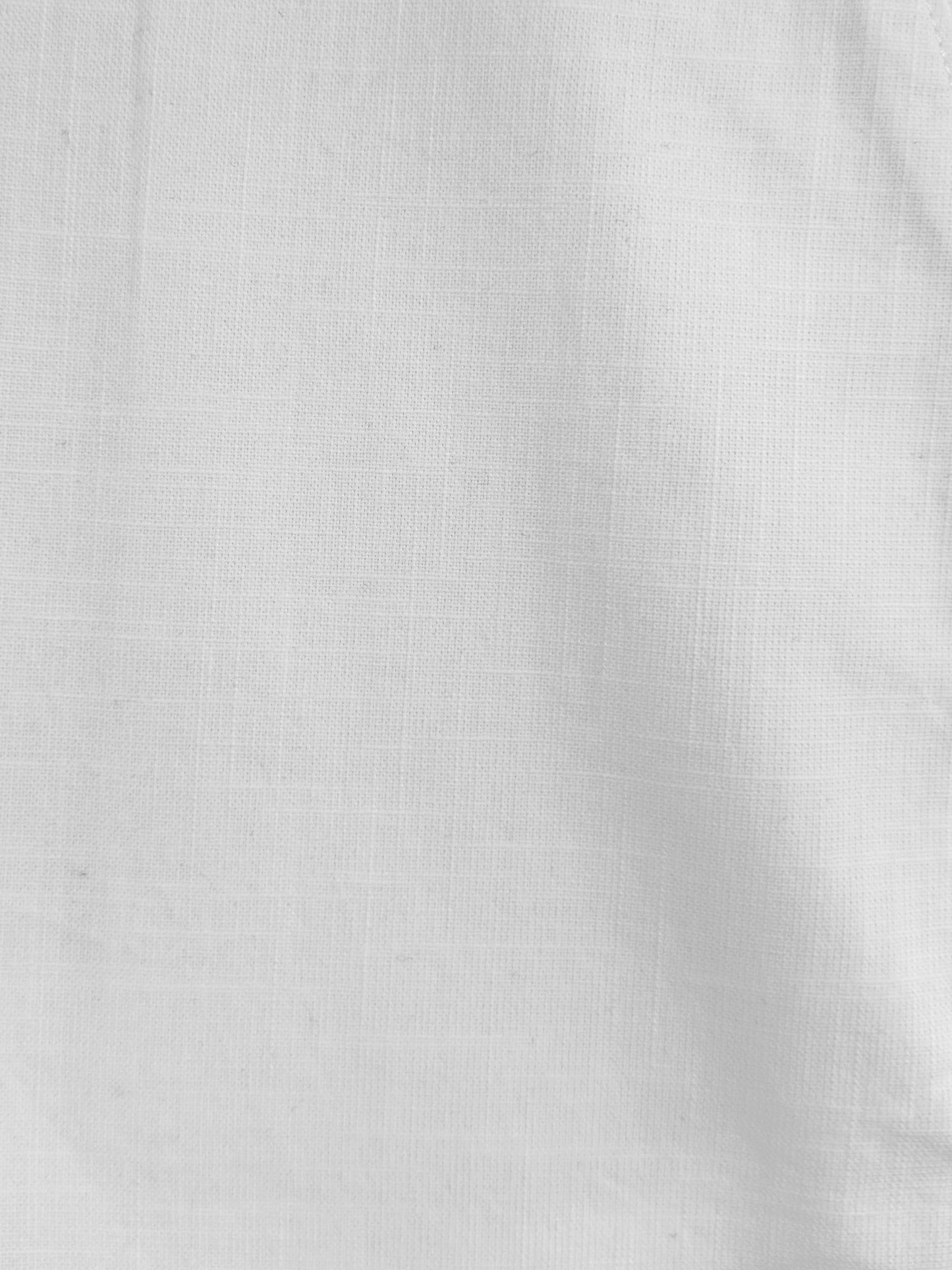 Men White Cotton Regular Fit Pant